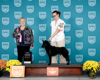 CARRIE DENNISON UKC Eastern Classic 2025