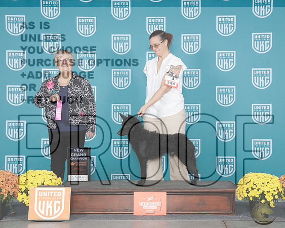 Mudi #142 Sun NGCH CHoCH Judge Mary Ellen MeyerMudi #142 Sun NGCH CHoCH Judge Mary Ellen Meyer_WP_1076e-UKC Eastern Classic 2025-HR3