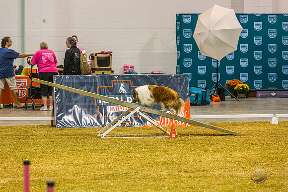 Agility #111-JJL_0052_TDI2022-HR3