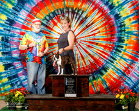Boston Terrier #24 Sat Maj BOW Radcliffe Karen Judge Dr Dale D Simmons