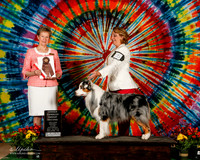 Australian Shepherd #5 Sat BOS OH G2 Annette Guenther Judge Linda More