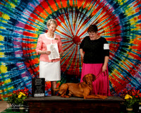 Vizsla #7 Sat OH G4 Mosley Robert and charlissa Stokes Judge Linda More
