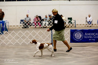 Brittany #6 Sat Brannan Barbara Ring