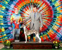 Whippet #8 Sat BOB Ye Y Yue agent David M Harper