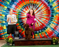 Portuguese Water Dog #6 Sat BOB White P J Bailey S Kang Agent Sharon Kang Judge Patricia Taylor