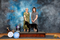Mudi #8 Fri WB JUdge Karen Hynek