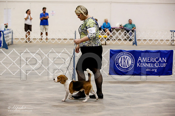 _JJ_6036-ABMay2015-HR3