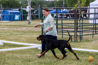 Black and Tan Coonhound Ring Wed