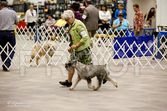 _JJ_6120-ABMay2015-HR3