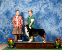 Australian Shepherd #19 Sun BOS Baker Judith F and Felicity Trammell Judge Patricia Taylor