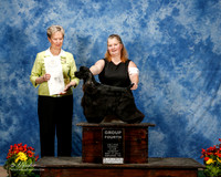 Cocker Spaniel #5 Sun G4 Fahey Freya sue and Mark Steffen Judge Linda More