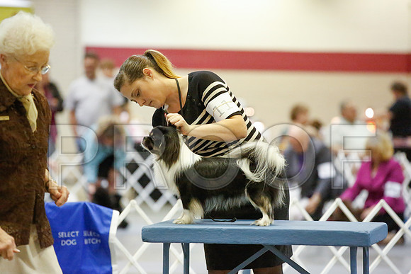 _JN_0066-AmarilloSept2014-HR3