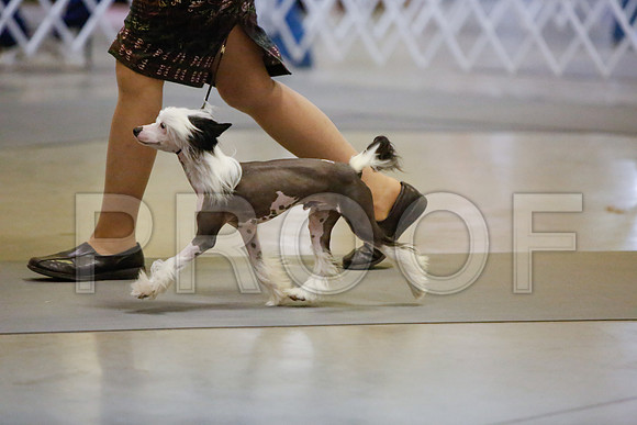 _JJ_2025-AmarilloSept2014-HR3