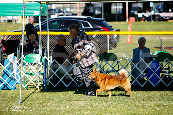 _JJ_6041-AlamogordoOct2014-HR3