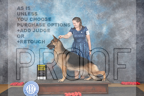German Shepherd #5 Sun G3 Judge Beth Downey__JP_0811_Sulphur Springs_2024_HR3