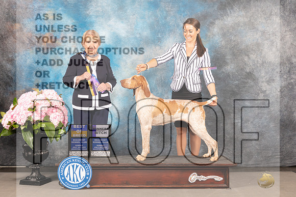 Bracco #6 SUN WB BOB Judge Polly Smith-_MJ_8089e-HR3