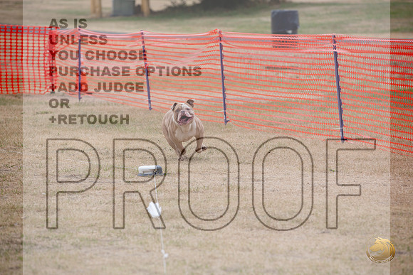 Precision Coursing Longview WA 2024 _JJL_3393_Longview WA_2024_HR3