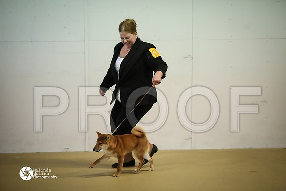 shib-6719-HtoJan14-HR