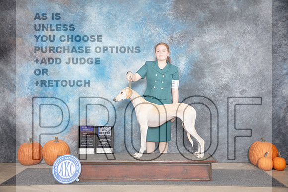 Saluki #12 Sun BOBOHBOBBOW M Judge Ann Roth__JP_9331_Humble_2024_HR3