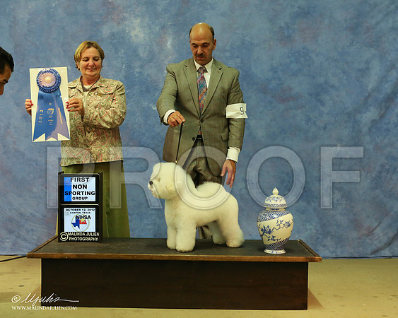 Bichon-6122 HR