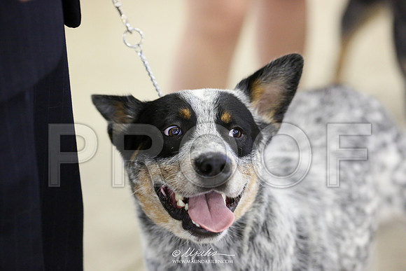 ACD-7024 HR