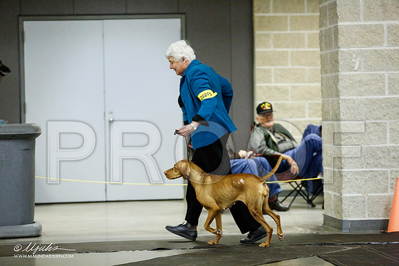 _RH_1199-BeltonJan2015IABCA-HR3