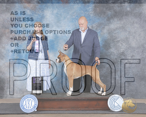 Boxer #34 Fri WB Judge Nancy Simmons-_WP_1758e_Cypress Creek 2025-HR3
