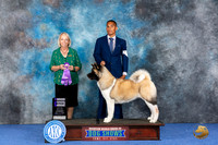Akita #14 WED WB Judge Alisa Brotherhood
