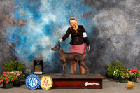 Xolo #21 Thur BOWWB Judge Michael Canalizo