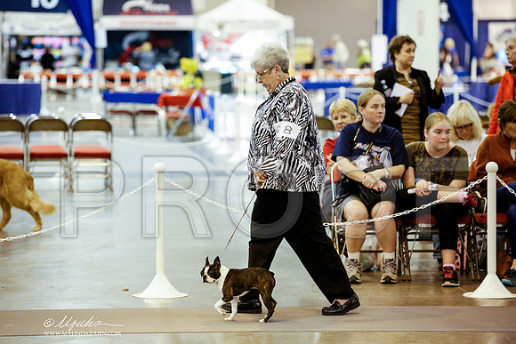 _JJ_5443-HstnJul2014-HR3