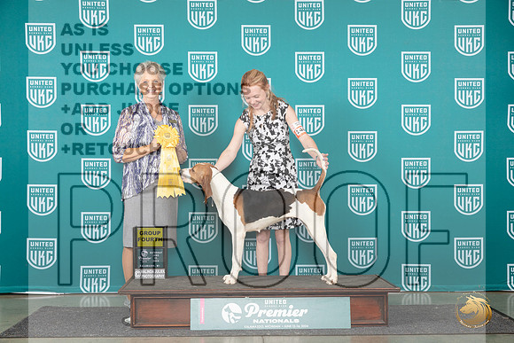 Treeing Walker #1409 Sat G4 Judge Diane Price__JP_2298_Premier_2024_HR3