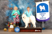 Samoyed #27 Wed BOS Judge Karen McFarlen