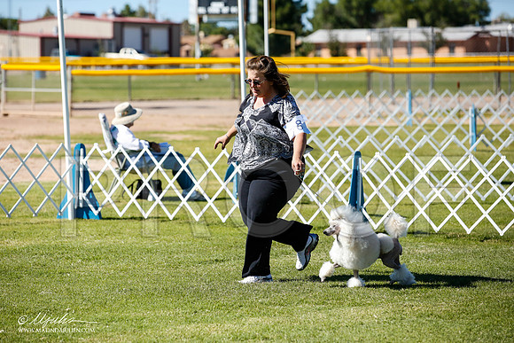_JN_9426-AlamogordoOct2014-HR3