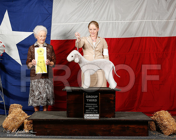 _ST_1416-2-AmarilloSep2014-HR3