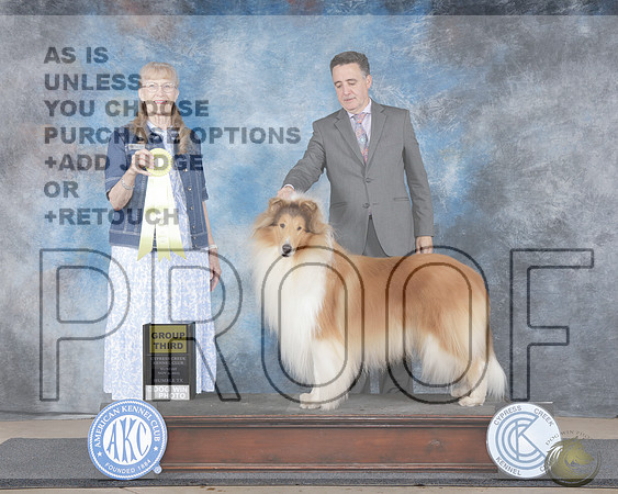 Collie Rough #7 Sun G3 Judge Nancy SimmonsCollie Rough #7 Sun G3 Judge Nancy Simmons_WP_2817e-Cypress Creek 2025-HR3