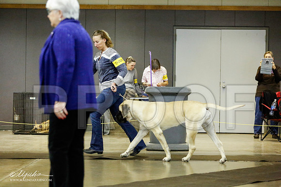 _RH_1709-BeltonJan2015IABCA-HR3