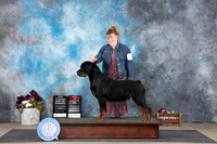Rottweiler #7 Sat BOWBOSNCh Judge Joan Liebes