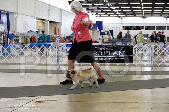_HR_3609-DallasJul2014-HR3