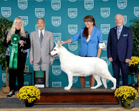 Diana L Updike UKC TDI 2025