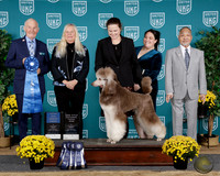 Amanda E Broderick UKC TDI 2025