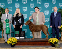 Alexandra Neff UKC TDI 2025