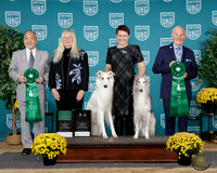 Heather Luedecke UKC TDI 2025