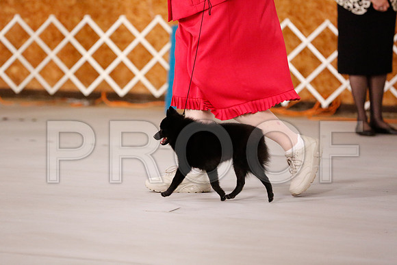 _RH_8689-CarlrolltonSept2014-HR3