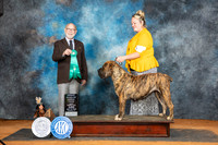Boerboel #6 Sun G2 Judge Tim Robbins