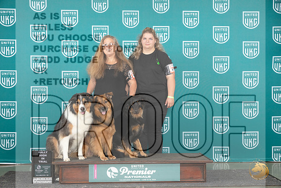 English Shepherd #475 Rally All Stars__JP_2998_Premier_2024_HR3