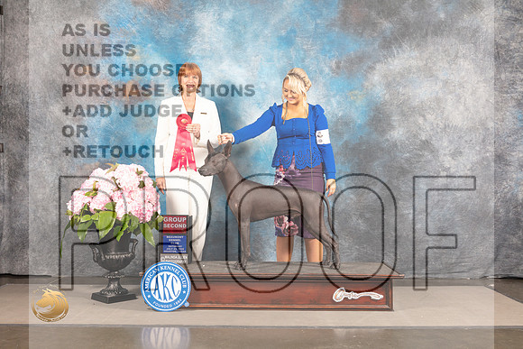 Xoloitzcuintli #9 SAT G2 Judge Linda Hurlebaus_MJ_7403_Houston_2022_HR3