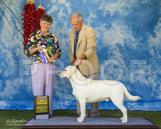 _ST_2681-AlamogordoOct2014-HR3