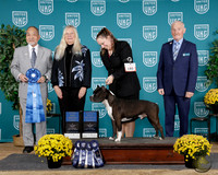 Anissa Littlefield UKC TDI 2025