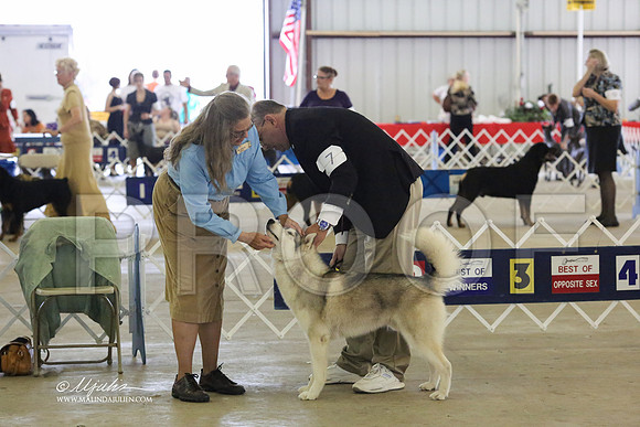 husky-4117 HR
