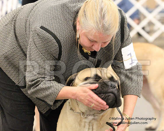 6-9PupSweeps-8469